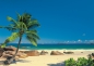 Preview: Fototapete SEYCHELLEN 270x194 La Digue Palme Strand Südsee Source d'Argent Karibik