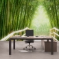 Preview: Vlies Fototapete 2 - Bamboo Walk Wald Tapete Bambusweg Bambuswald Dschungel Asia Asien Bamboo Way Wald gr