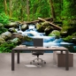 Preview: Vlies Fototapete 31 - Waterfall Woods Tapete Wald Wasserfall Natur Baum grün