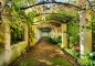 Preview: Vlies Fototapete 47 - Way in my Garden Blumen Tapete Garten Terrasse Blumenranken Blume 3D Perspektive grün