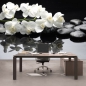 Preview: Vlies Fototapete 97 - White Orchids an Black Stones Ornamente Tapete Orchidee Blumen Blumenranke Rosa Natur schwarz