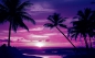 Preview: Vlies Fototapete 1950 - Sonnenuntergang Tapete Meer Strand Sonnenuntergang Palme Wolken Romantik lila