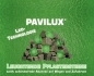 Preview: PAVILUX 6er Pack LED-Leuchtsteine, grün leuchtend, mit Netzteil