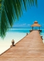 Preview: Fototapete PARADISE BEACH 183x254 Strand Südsee Palmen Steg Seychellen Paradiso