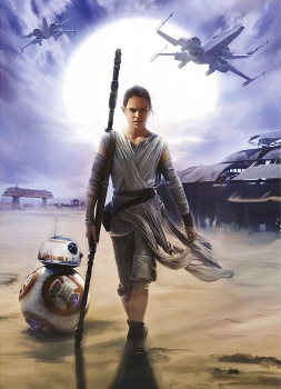 Fototapete Kindertapete Star Wars REY 184x254 Jakku Kinderzimmer Komar Sci-Fi