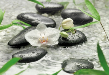 Fototapete PURE 368x254 Feng Shui weisse Orchidee Steine Wasser schwarze Kiesel