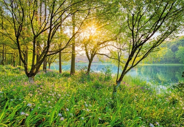 Fototapete National Geographic SPRINGLAKE 368x254 See in der Frühlingssonne grün