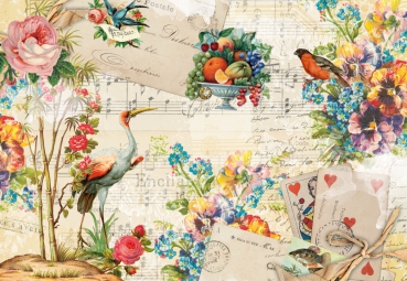 Fototapete MEMORIES 368x254 Blumen Vögel Obst Herz Musik Noten Herzdame Sommer