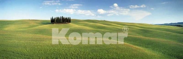 Fototapete TUSCANY 368x127 cm Panorama hügelige Toskana  grüne Wiese Wäldchen
