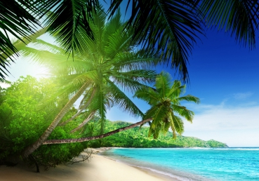 Vlies Fototapete 5 - Paradise Beach Strand Tapete Strand Meer Palmen Beach 3D Ozean Palme blau