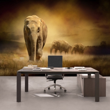 Vlies Fototapete 11 - African Savanna Afrika Tapete Afrika Savanne Elefant Elefanten Gras Landschaft braun