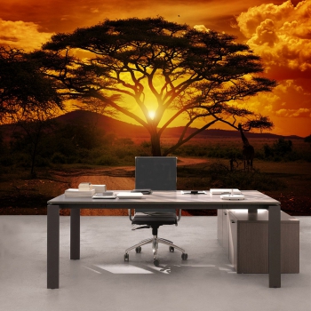 Vlies Fototapete 59 - African Sunset Sonnenuntergang Tapete Sonnenaufgang Afrika Steppe Giraffe Orange Safari