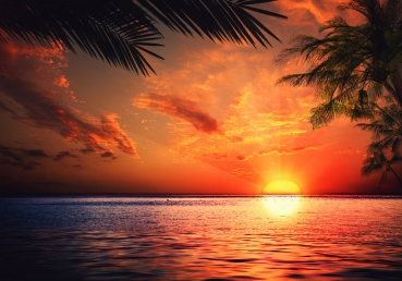 Vlies Fototapete 117 - Caribbean Sundown Meer Tapete Sonnenaufgang Strand Beach Sonnenuntergang Palmen orange