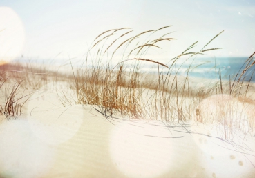 Vlies Fototapete 148 - Strand Tapete Strand Meer Beach Wasser Blau Himmel Sonne Sommer beige