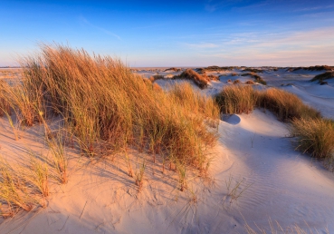 Vlies Fototapete 246 - Strand Tapete Strand Düne Wasser Beach Ausblick beige