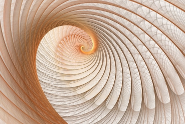 Vlies Fototapete 904 - 3D Tapete Abstrakt Muschel Geflecht Netz Tunnel Spirale 3D beige