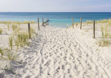 Vlies Fototapete 3297 - Meer Tapete Sand, Küste, Schilf bunt