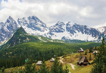 Vlies Fototapete 3349 - Berge Tapete Karpaten, Riesengebirge, Nadelwald, Almhütten natural