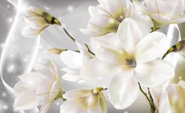 Vlies Fototapete 3553 - Blumen Tapete Blüten, weiß, glänzend