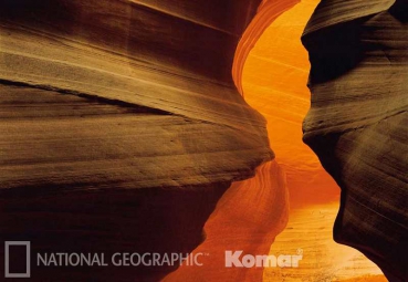 Fototapete National Geographic SIDE CANYON 184x127 Antelope Schlucht Antilopen USA