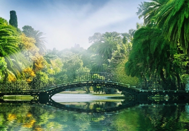 Fototapete BRIDGE IN SUNLIGHT 366x254 mediterrane Park mit Brücke See und Palmen