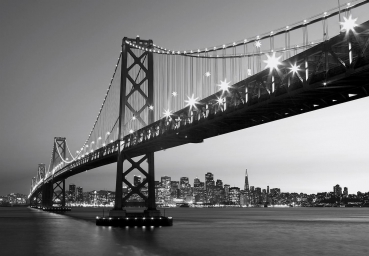 Fototapete SAN FRANCISCO SKYLINE 366x254 Golden Gate Bridge in SW tolle Aussicht