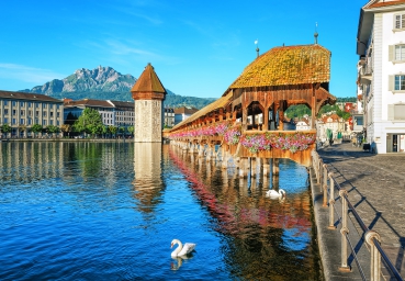 Fototapete LUZERN 366x254 Schweiz Vierwaldstätter See Kapellbrücke Sonne Blumen