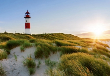 Fototapete LIGHTHOUSE 366x254cm klassischer rot weißer Leuchtturm, Dünen, Küste