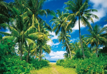 Fototapete ISLAND IN THE SUN, 366x254cm Strand Palmen Karibik Insel Tropen Meer Sonne