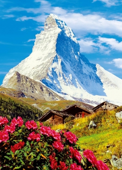 Fototapete MATTERHORN 183x254 Alpen Berge Natur grün rote Blumen Gebirge Gipfel