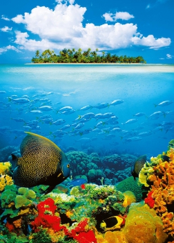 Fototapete SCHATZINSEL 183x254 cm, Insel Riff Fische Atoll Kindertapete Korallen