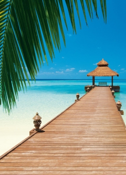 Fototapete PARADISE BEACH 183x254 Strand Südsee Palmen Steg Seychellen Paradiso