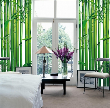 Fototapete BAMBOO 183x254 Bambus green Blätter grüne Bambushalme, endlos klebbar