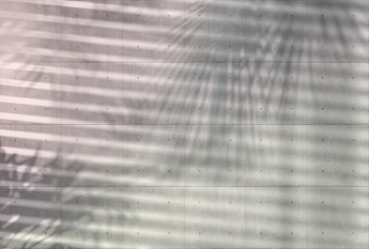 Vliestapete Fototapete SHADOWS, 368x248cm, Betonwand, Sichtbeton mit Palmschatten