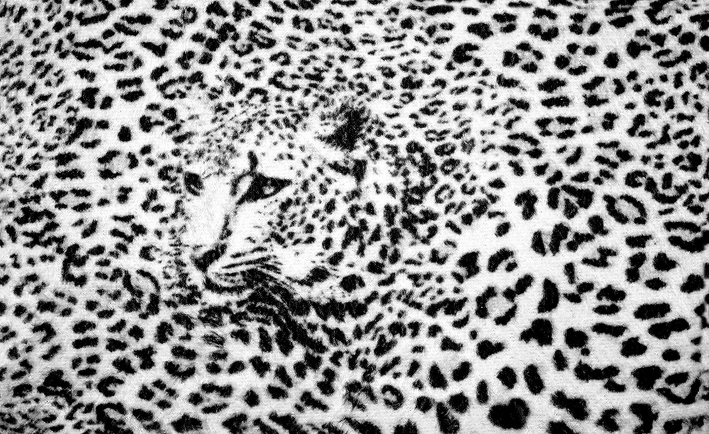 vlies fototapete 2264 tiere tapete leopard muster natur kopf schwarz wei - Tapete Schwarz Weis Muster vlies fototapete 2264 tiere tapete leopard muster natur kopf schwarz wei - Tapete Schwarz Weis Muster
