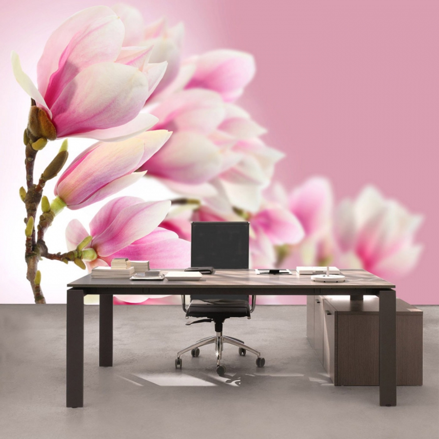 Vlies Fototapete 14 - Pink Magnolia Blumen Tapete Magnolie Blumenranke Pflanzen Natur Orchidee Blume rosa pink