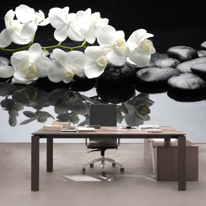 Vlies Fototapete 97 - White Orchids an Black Stones Ornamente Tapete Orchidee Blumen Blumenranke Rosa Natur schwarz