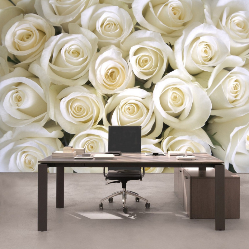 Vlies Fototapete 184 - Blumen Tapete Rose Blüten Natur Liebe Love Blüte Weiß weiß