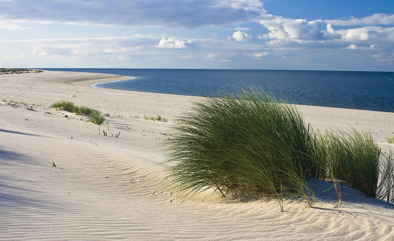 Vlies Fototapete 1933 - Strand Tapete Meer Dünen Gras Wolken Ostsee beige