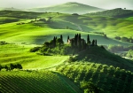 Vlies Fototapete 68 - Sunrise in Tuscany Landschaft Tapete Sonnenaufgang Italien Toskana Weinberg Weingut grün